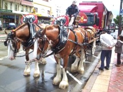 Convoy for Kids Goulburn Inc - 2004 Convoy